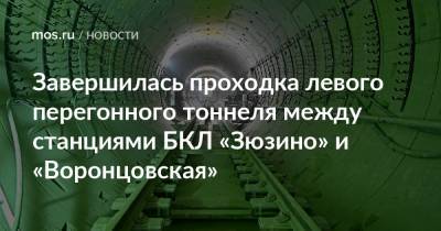 Завершилась проходка левого перегонного тоннеля между станциями БКЛ «Зюзино» и «Воронцовская»