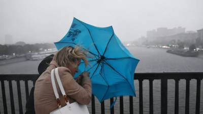 МЧС предупредило о дожде и ветре с порывами до 17 м/с в Москве