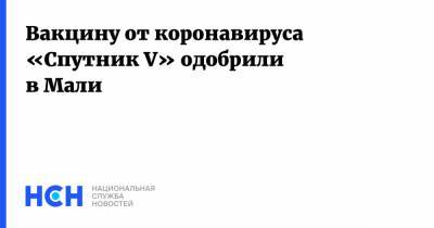 Казем Джалали - Вакцину от коронавируса «Спутник V» одобрили в Мали - nsn.fm - Москва - Иран - Мали