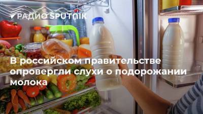 В российском правительстве опровергли слухи о подорожании молока