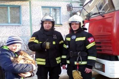 В Новомосковске пожарные и дети спасли кошку