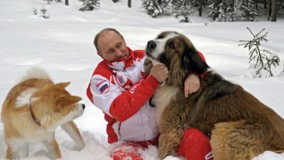 Песков обещал подумать, как рассказать СМИ о домашних животных Путина