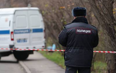 Полиция задержала мужчину, открывшего стрельбу в коттеджном поселке Вешки