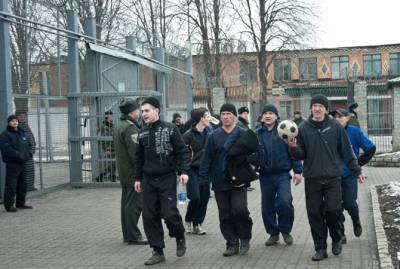 Тюремную агентуру хотят ликвидировать: что думают эксперты о новой идее Малюськи