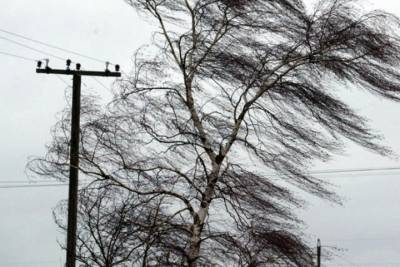 Ветер с порывами до 20 м/с ожидается в Чувашии 31 марта