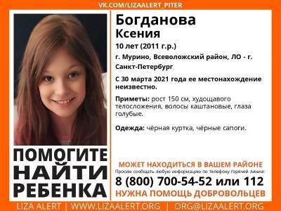 В «Лиза Алерт» призывают волонтеров на поиски 10-летней девочки в Мурино и Петербурге