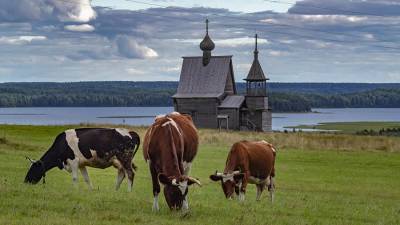 В Госдуму внесли новую редакцию законопроекта о сельском туризме