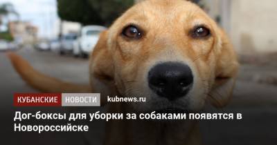 Дог-боксы для уборки за собаками появятся в Новороссийске