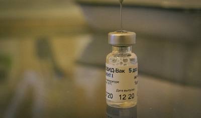 Власти Австрии решили купить миллион доз вакцины "Спутник V"