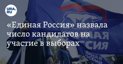 «Единая Россия» раскрыла число кандидатов на участие в выборах