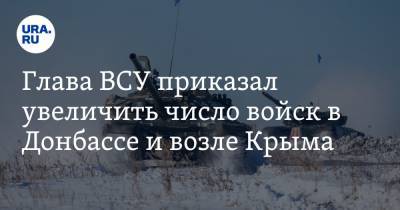 Глава ВСУ приказал увеличить число войск в Донбассе и возле Крыма