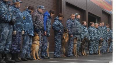 В Петербурге военных собак привьют от коронавируса перед Парадом Победы