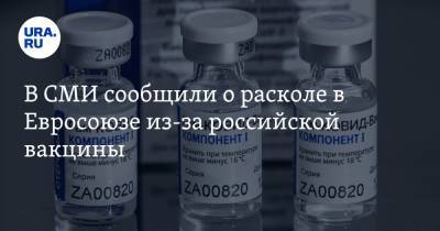 В СМИ сообщили о расколе в Евросоюзе из-за российской вакцины