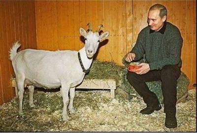 Кремль пообещал открыть тайну животного мира Путина