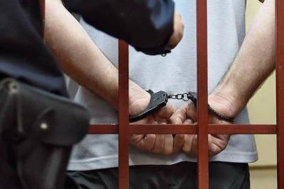 Обвиняемый в педофилии мужчина предстанет перед судом в Твери
