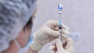 Власти Австрии не исключают закупки миллиона доз вакцины "Спутник V"