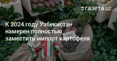К 2024 году Узбекистан намерен полностью заместить импорт картофеля