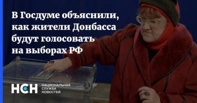 В Госдуме объяснили, как жители Донбасса будут голосовать на выборах РФ