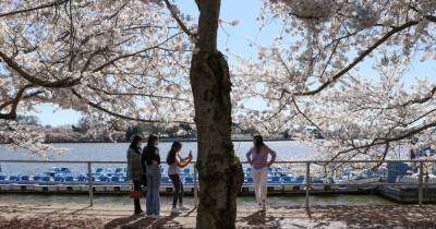 Фото дня: Пасхальный фестиваль в Лондоне и цветение вишни в США