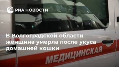 В Волгоградской области женщина умерла после укуса домашней кошки