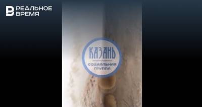 В Управлении образования Казани прокомментировали сообщения о грибах из-за потопа в школе