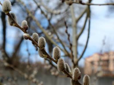 В Украину идут первые грозы: синоптик рассказала, какой будет погода на рубеже марта и апреля