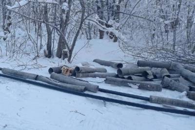 Водопровод в Рембуево Холмогорского района появится по решению суда