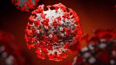ВОЗ обнародовала отчет о первоначальном источнике коронавируса