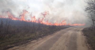 Украина — в огне: спасатели Сумской и Киевской областей тушили сухостой