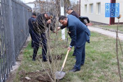 В администрации Магарамкентского района появился «Сад Памяти»