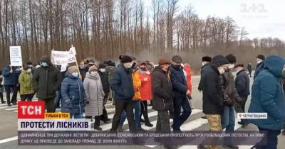 В Украине вспыхнули протесты против реформы лесной отрасли: "Как нам дальше выживать?"
