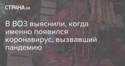 В ВОЗ выяснили, когда именно появился коронавирус, вызвавший пандемию