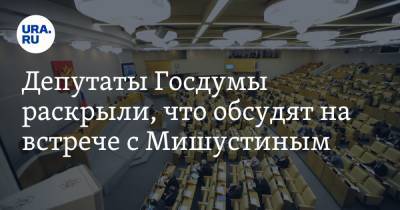 Депутаты Госдумы раскрыли, что обсудят на встрече с Мишустиным