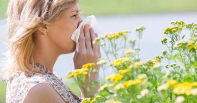 Теплая и сухая весна нанесет удар по самочувствию аллергиков