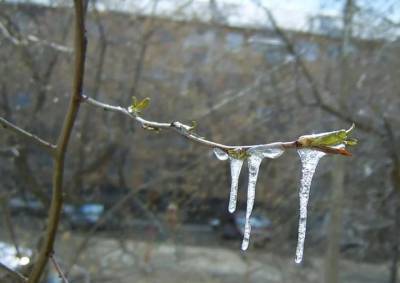 Синоптик предупредил о весенних заморозках в Европейской России