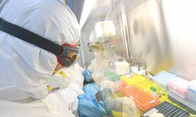 США и еще 13 стран раскритиковали доклад ВОЗ о причинах происхождения коронавируса