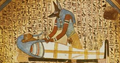 Куда исчезли животные из Египта, если они изображены на древних рисунках