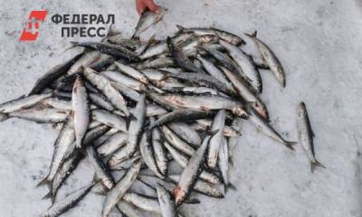 На Байкале инспекторы задержали браконьеров с омулем