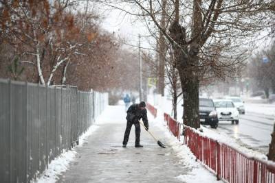 Жителей Европейской России пугают предстоящими заморозками
