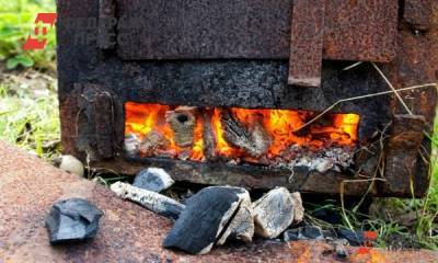 В МЧС пояснили запрет на сжигание мусора на дачах Омска