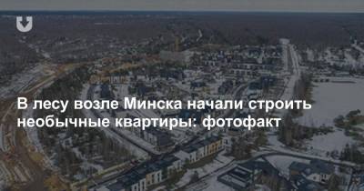 В лесу возле Минска начали строить необычные квартиры: фотофакт