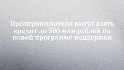 Предприниматели могут взять кредит до 500 млн рублей по новой программе поддержки