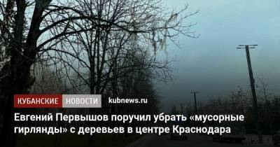 Евгений Первышов поручил убрать «мусорные гирлянды» с деревьев в центре Краснодара