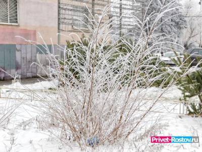 Снег и сильный ветер прогнозируется в Ростовской области