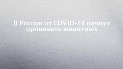 В России от COVID-19 начнут прививать животных