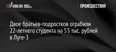 Двое братьев-подростков ограбили 22-летнего студента на 53 тыс. рублей в Луге-3