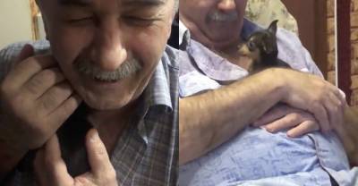 Внучка из Ростова-на-Дону сняла встречу дедушки с крошечным щенком, и это любовь с первого взгляда