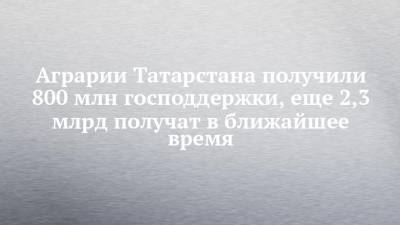 Аграрии Татарстана получили 800 млн господдержки, еще 2,3 млрд получат в ближайшее время
