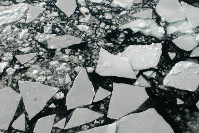 На территории Финского залива под лед провалился петербуржец