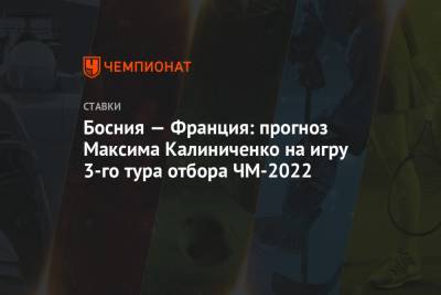 Босния — Франция: прогноз Максима Калиниченко на игру 3-го тура отбора ЧМ-2022